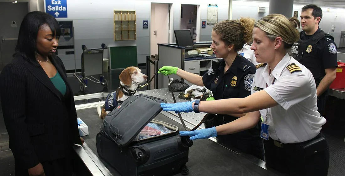 Gepäckkontrolle am Flughafen