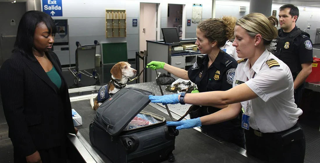Gepäckkontrolle am Flughafen