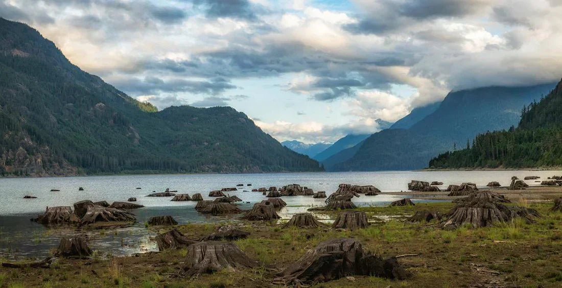 Berge und Wasser auf Vancouver Island