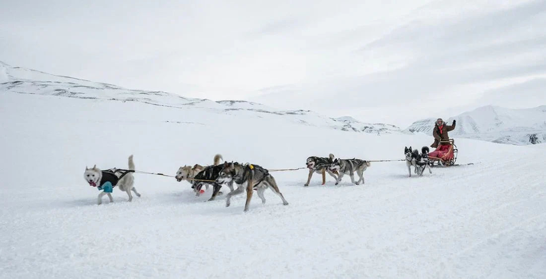 12 außergewöhnliche Reiseideen für Ihren Urlaub