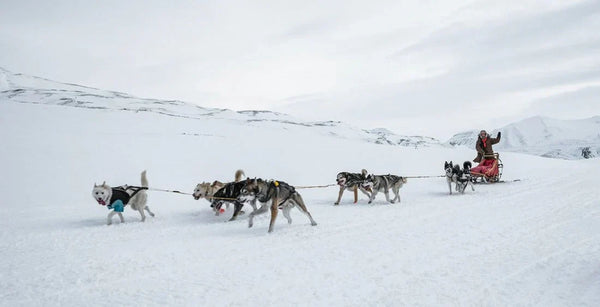 12 außergewöhnliche Reiseideen für Ihren Urlaub