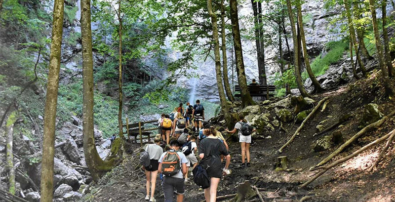 Gruppe von Personen in einem Wald bei einer Wanderung