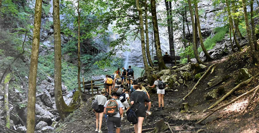 Gruppe von Personen in einem Wald bei einer Wanderung