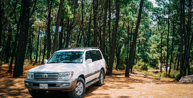 Auto mit Vierradantrieb in einem Wald