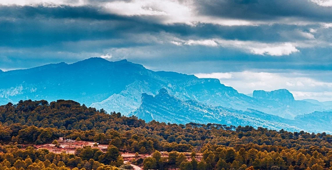 Campingurlaub in Spanien: unsere Empfehlungen und Tipps